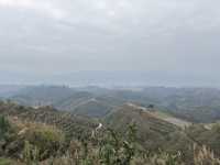 榕江《鳳柚基地》