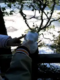 人均3k玩轉雲南8天!大理麗江香格里拉