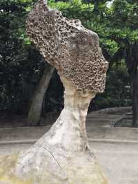 台北1天冬天來玩簡直太值啦