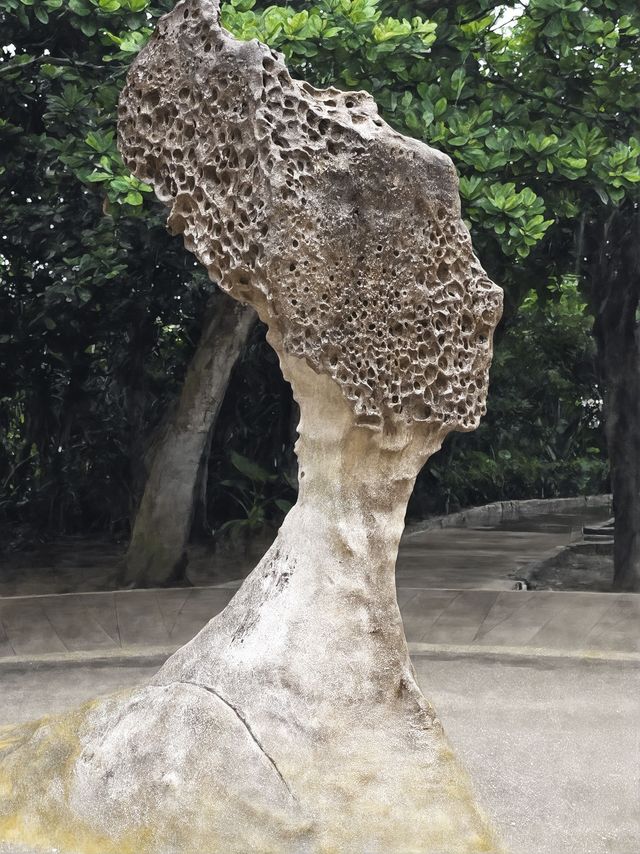 台北1天冬天來玩簡直太值啦 台北1天冬天來玩簡直太值啦