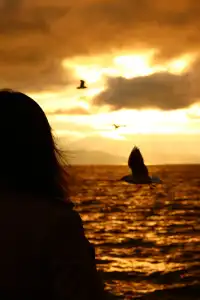 騰衝大理九日遊-洱海海西生態廊道