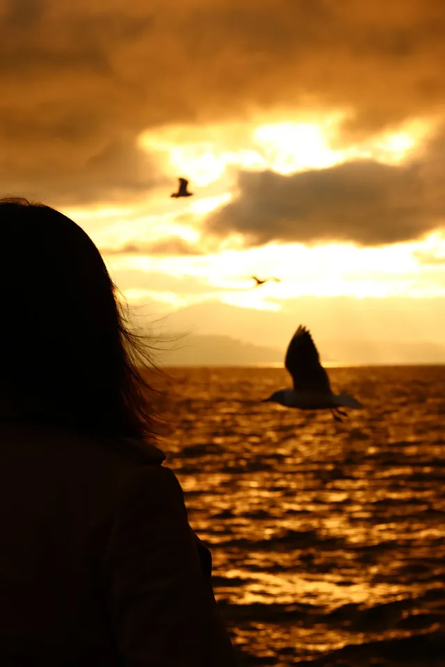 騰衝大理九日遊-洱海海西生態廊道 騰衝大理九日遊-洱海海西生態廊道