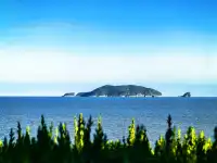 要來一次普陀山，越來越好（附攻略）