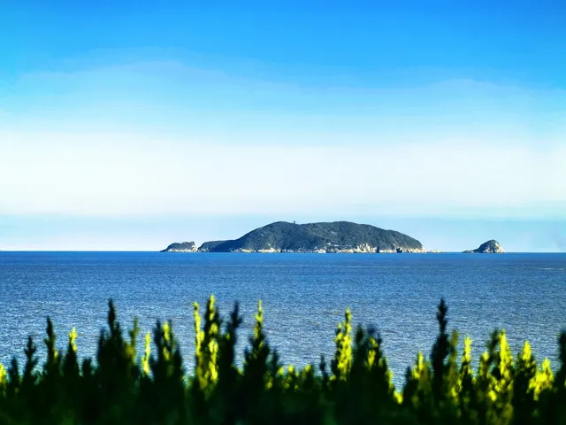 要來一次普陀山，越來越好（附攻略）