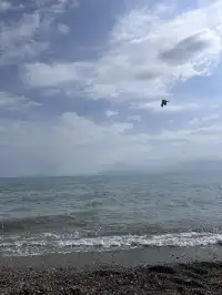 溜了溜了!大西北拜拜!