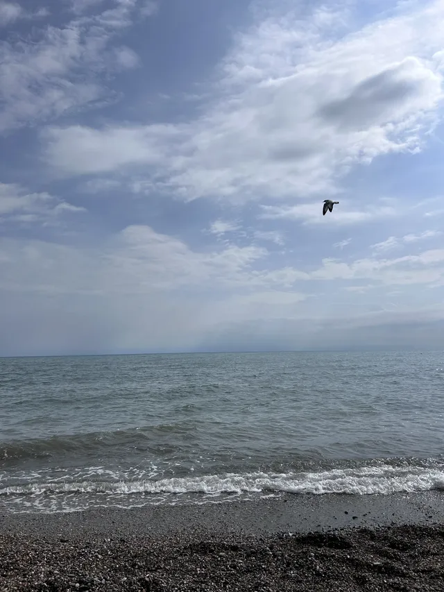 溜了溜了!大西北拜拜! 溜了溜了!大西北拜拜!