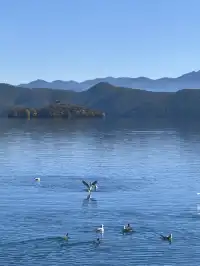 在瀘沽湖酒店看到晨霧！12.5實拍