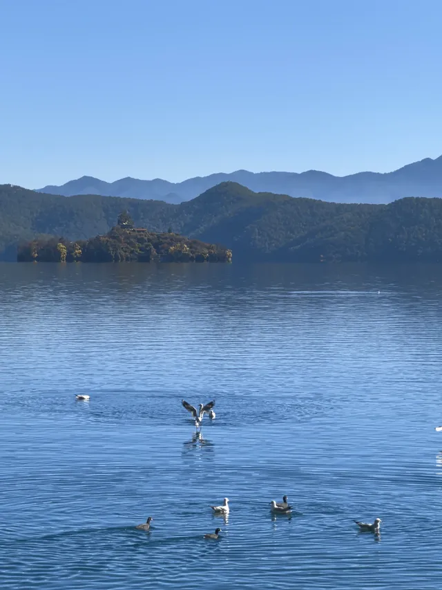 在瀘沽湖酒店看到晨霧！12.5實拍