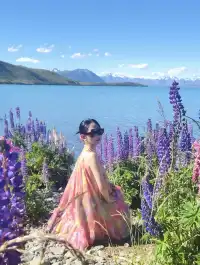 新西蘭 Tekapo