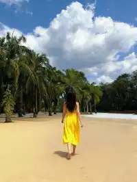 在熱帶冬天裡，被花卉園治癒的8小時