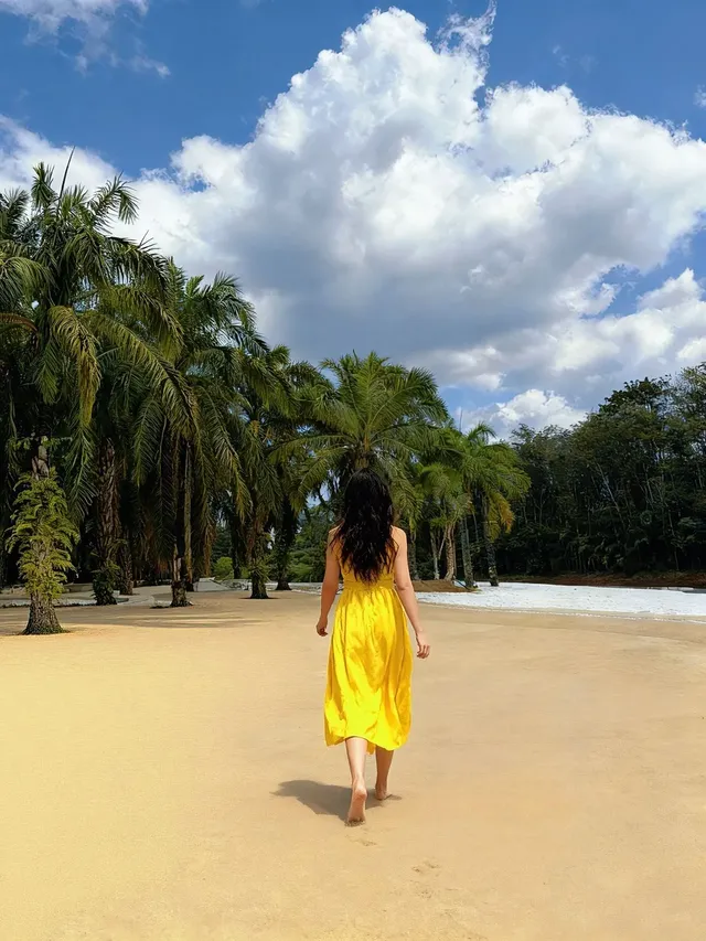 在熱帶冬天裡，被花卉園治癒的8小時