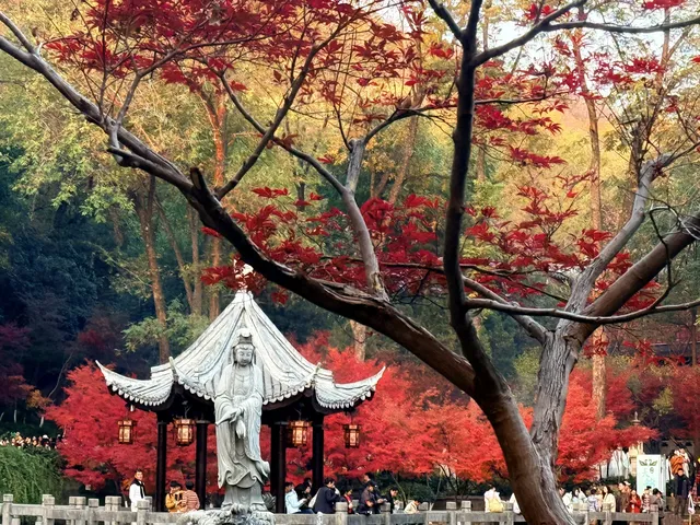 棲霞山的楓葉，是秋天寫給南京的情書
