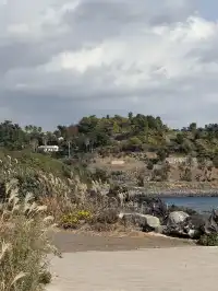 濟州島solo trip一人遊吃住行攻略