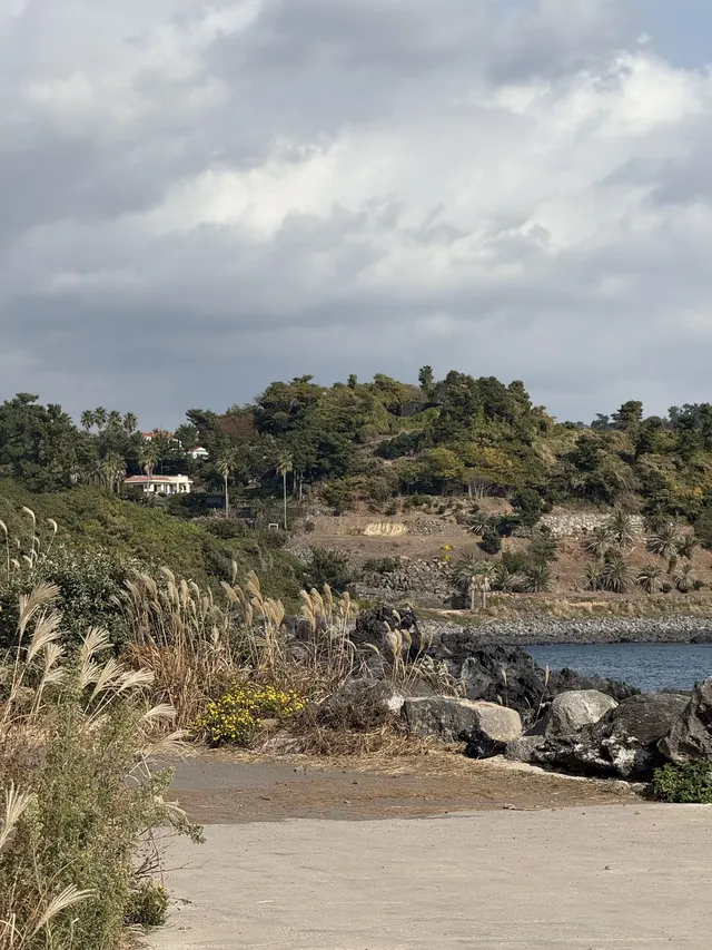 濟州島solo trip一人遊吃住行攻略 濟州島solo trip一人遊吃住行攻略