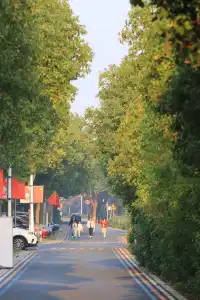 藏在金山!山陽田園的慢時光太好宅了