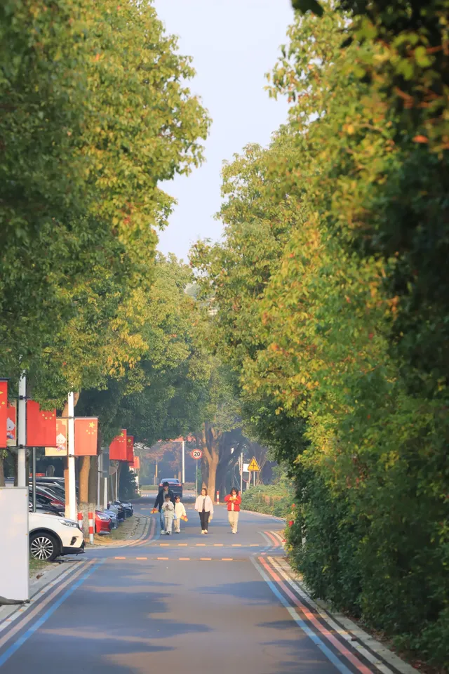 藏在金山!山陽田園的慢時光太好宅了 藏在金山!山陽田園的慢時光太好宅了
