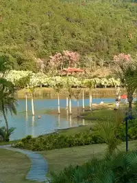 不敢相信這是泉州!?發現適合發呆躺平的好去處