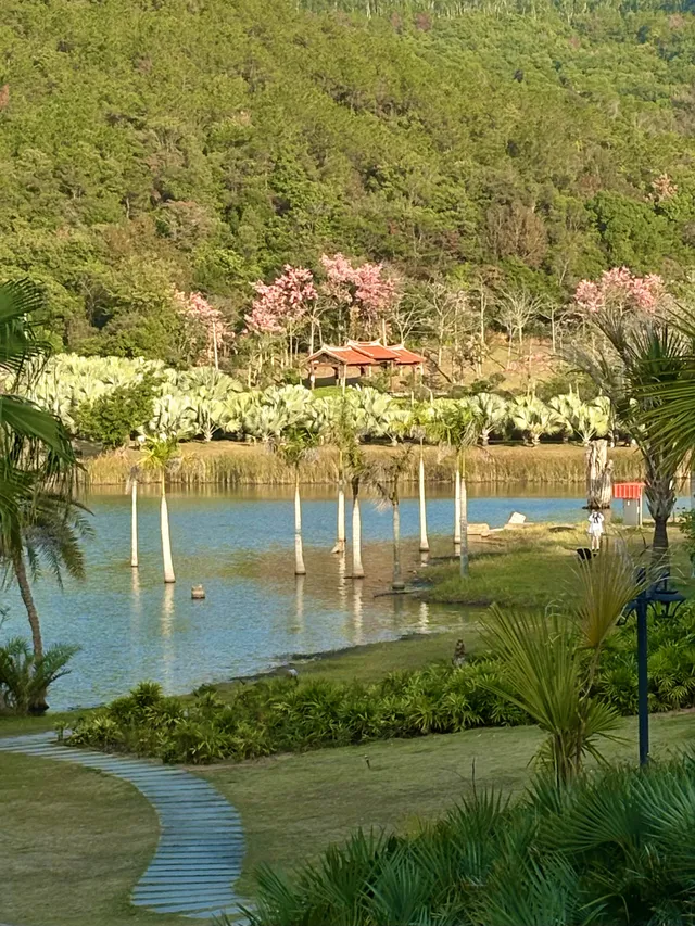 不敢相信這是泉州!?發現適合發呆躺平的好去處 不敢相信這是泉州!?發現適合發呆躺平的好去處