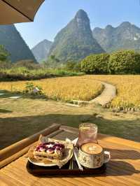 風吹麥浪 小紅書跟風最成功的一次好chill