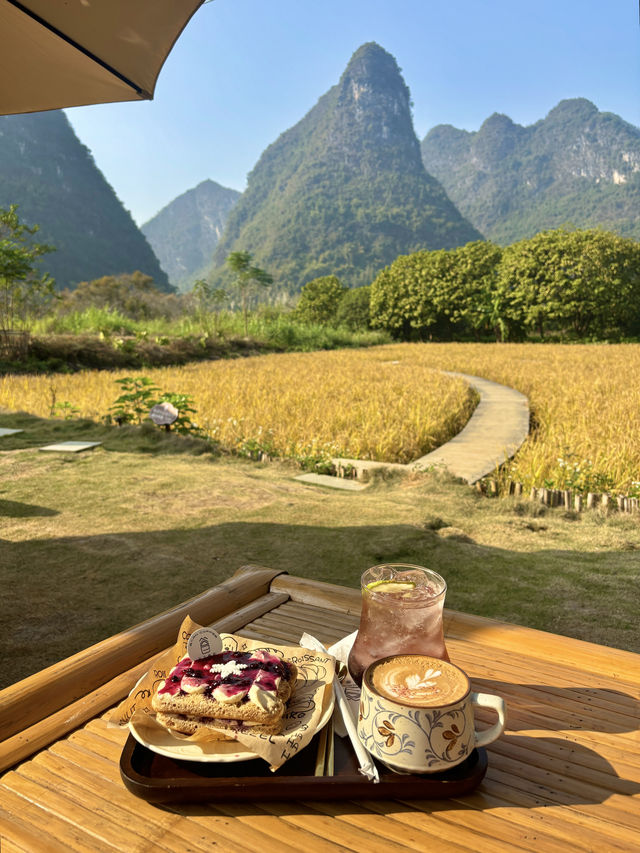 風吹麥浪 小紅書跟風最成功的一次好chill 風吹麥浪 小紅書跟風最成功的一次好chill
