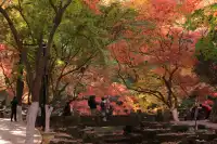 12.3|虞山紅楓進度99% (附路線圖