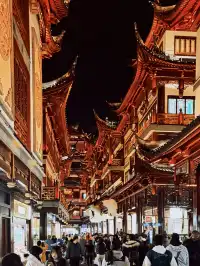 上海免費好去處|城市中一場盛唐幻境-豫園