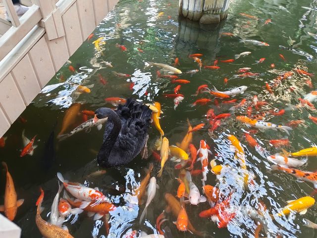 20250928   藏在北京的秘密森林：五洲植物樂園