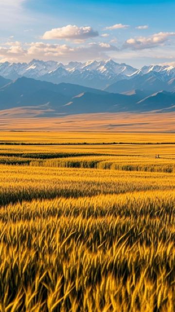 천산 북록 회운 여행