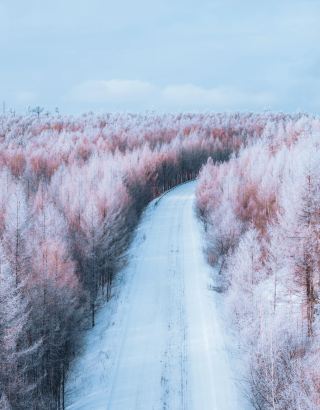 Hulunbuir Winter Deep Tour｜6 Days 5 Nights Blue Ice and Rime