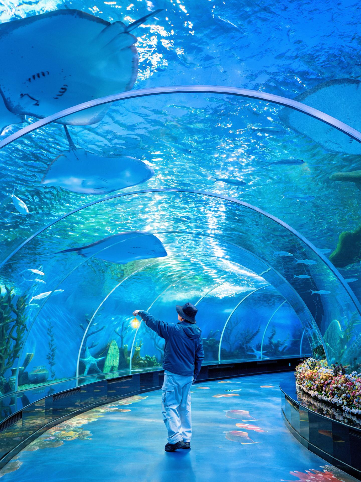 So far, this is the most fun Ocean World I've ever been to