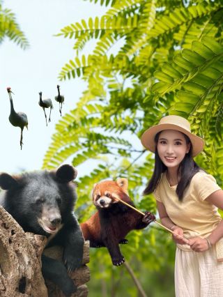 푸얼 숲속 산소 천장, 1인당 100+원으로 감동!