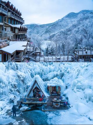 Jiurushan Homestay, the ultimate forest-themed getaway!