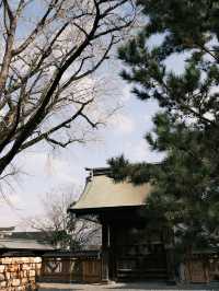 日本5天保姆級旅遊攻略