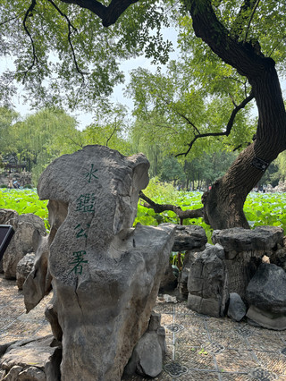 Baoding ancient Lotus Pond lotus viewing guide