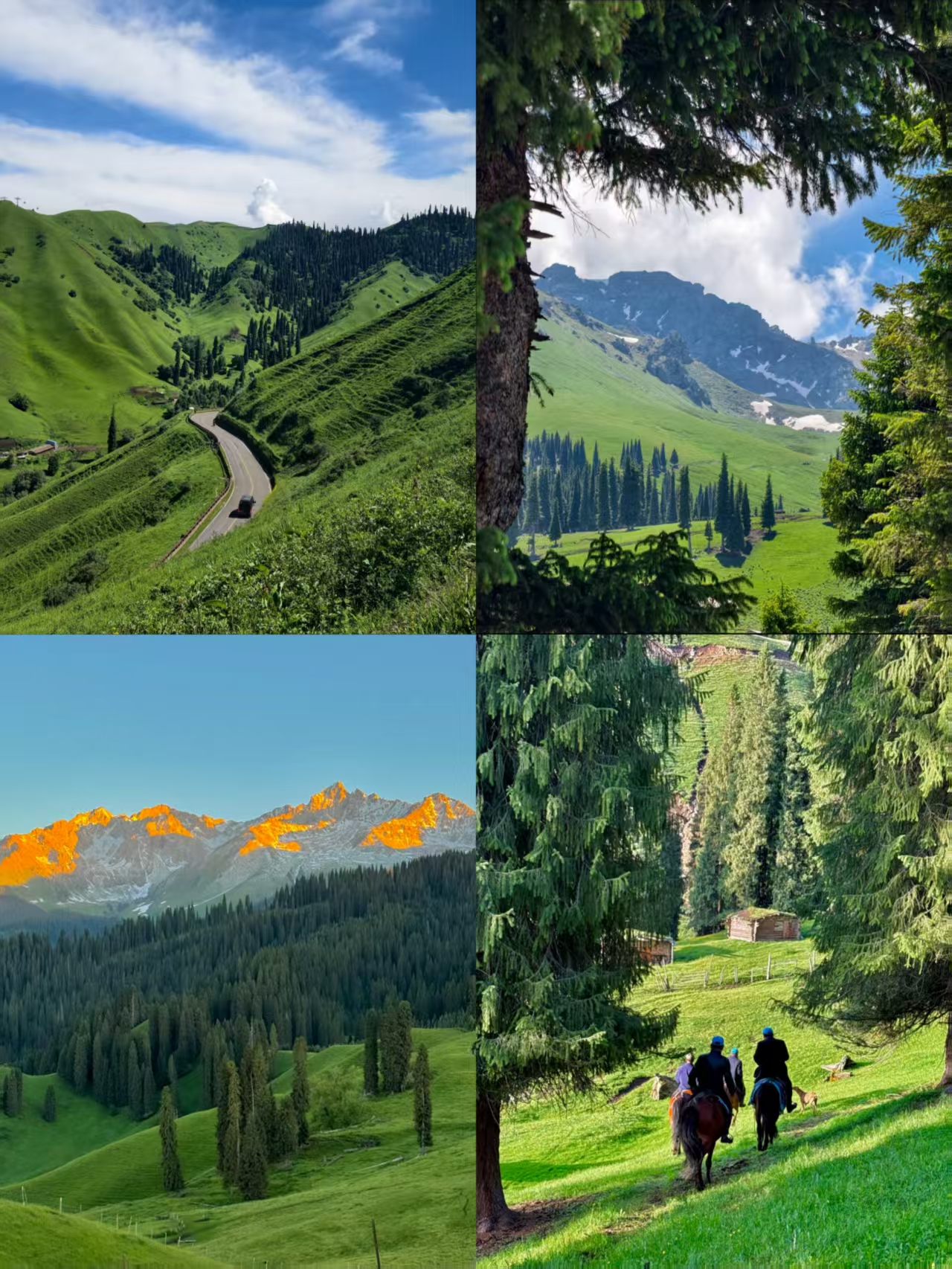 10-day 9-night Northern Xinjiang Grand Loop itinerary guide