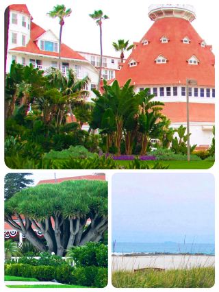 Coronado Keeps Pulling Me Back 🏖️🔁