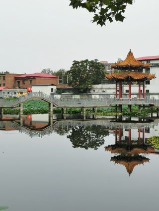 [Cixian, Hebei Province] Xihai Park.