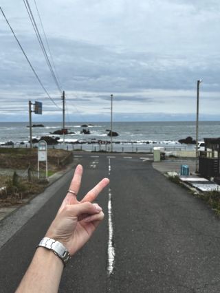 The scenery is just as stunning as Kamakura 😎 A day trip around Tokyo by Choshi Electric Railway 🚎🌊