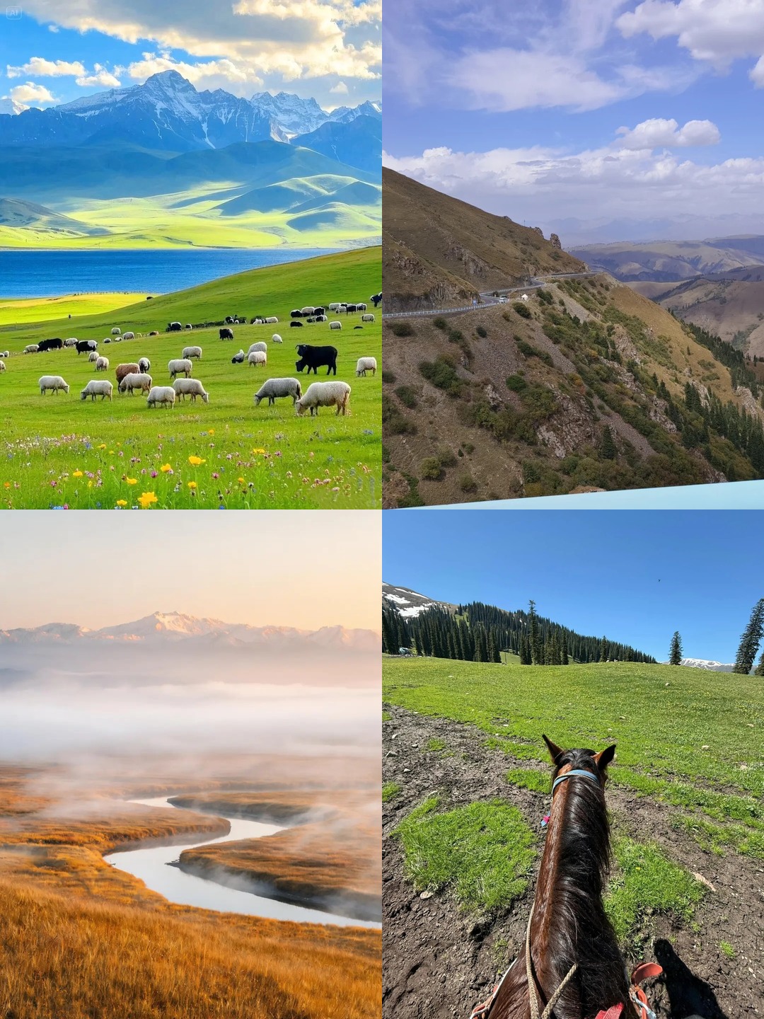 A 3-day first-time guide to Bayanbulak Grassland: simplify first, then focus on the highlights