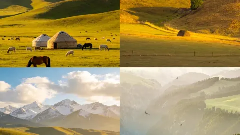 Spent three days in Yili; the grasslands have turned yellow, but the sky is still blue. — traveler post in Bole