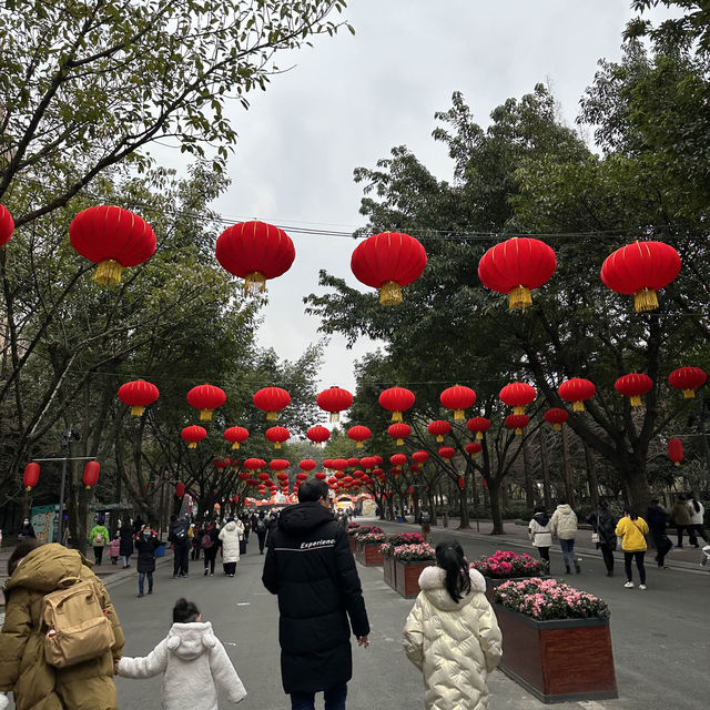 Chengdu Zoo Trip