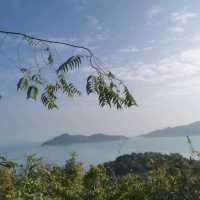 坪洲:手指☞山
