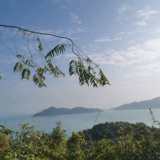 坪洲:手指☞山