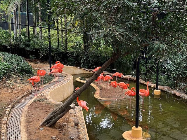 本地動物園—香港動植物公園