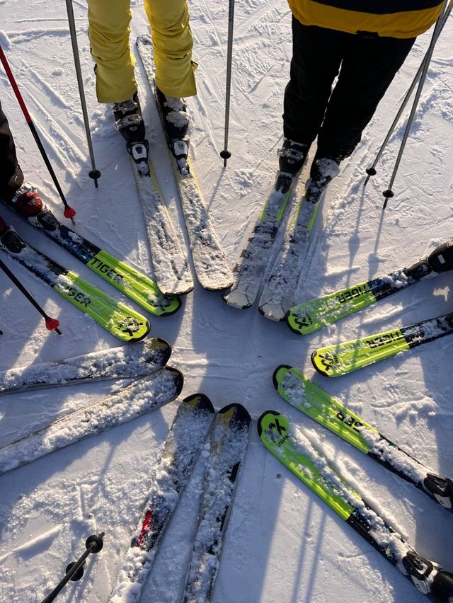 홍천 비발디파크에서 스키 즐기기!⛷️