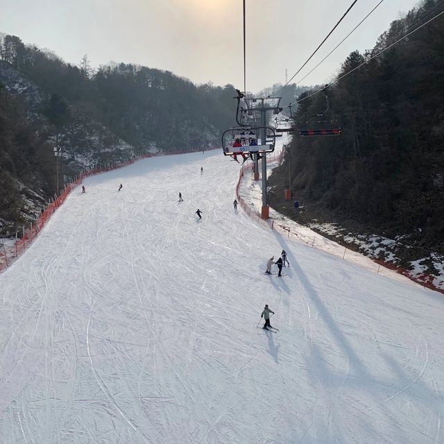 가평에 빠지만 있는게 아니다!! 스키장도 있다!