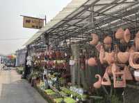 ทริปหาซื้อต้นไม้ฟอกอากาศ @เชียงใหม่