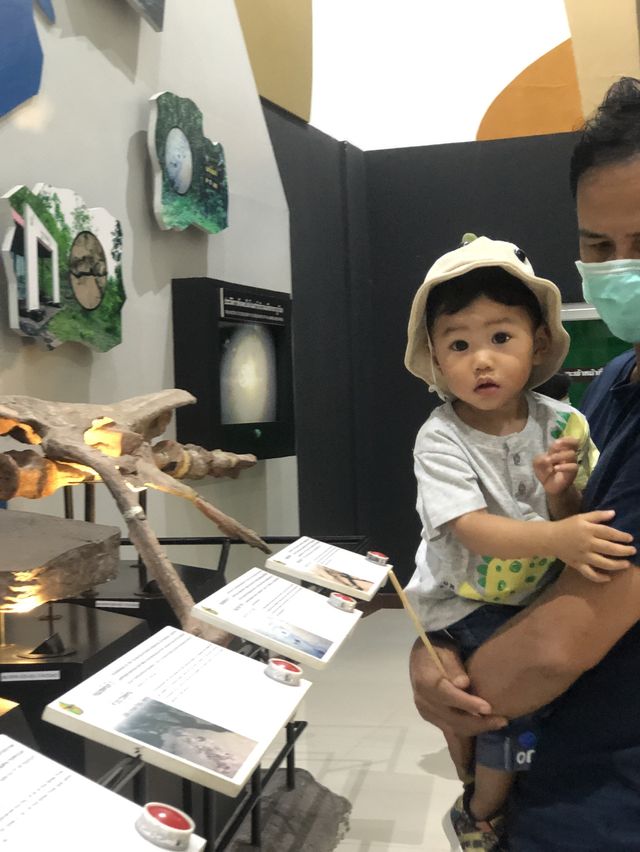 พิพิธภัณฑ์ไดโนเสาร์ @ภูเวียง ขอนแก่น🦕