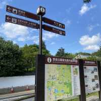 名勝「奈良公園」観光客で賑わい鹿は元気でした