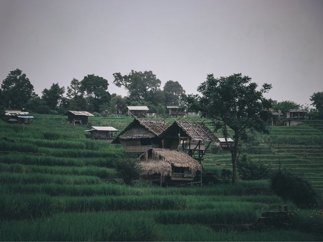 ป่าบงเปียง นาขั้นบันไดที่สวยที่สุดในไทย 